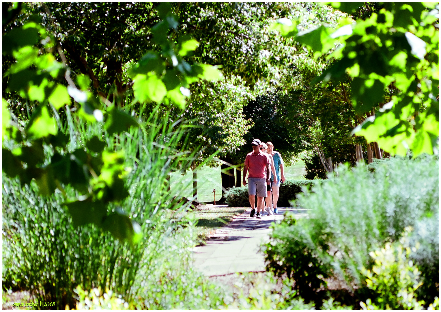 Summer at Quiet Waters - Strolling through the Park