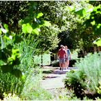 Summer at Quiet Waters - Strolling through the Park