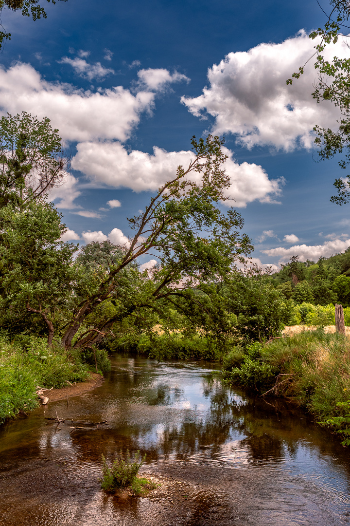 Summer at River Geul