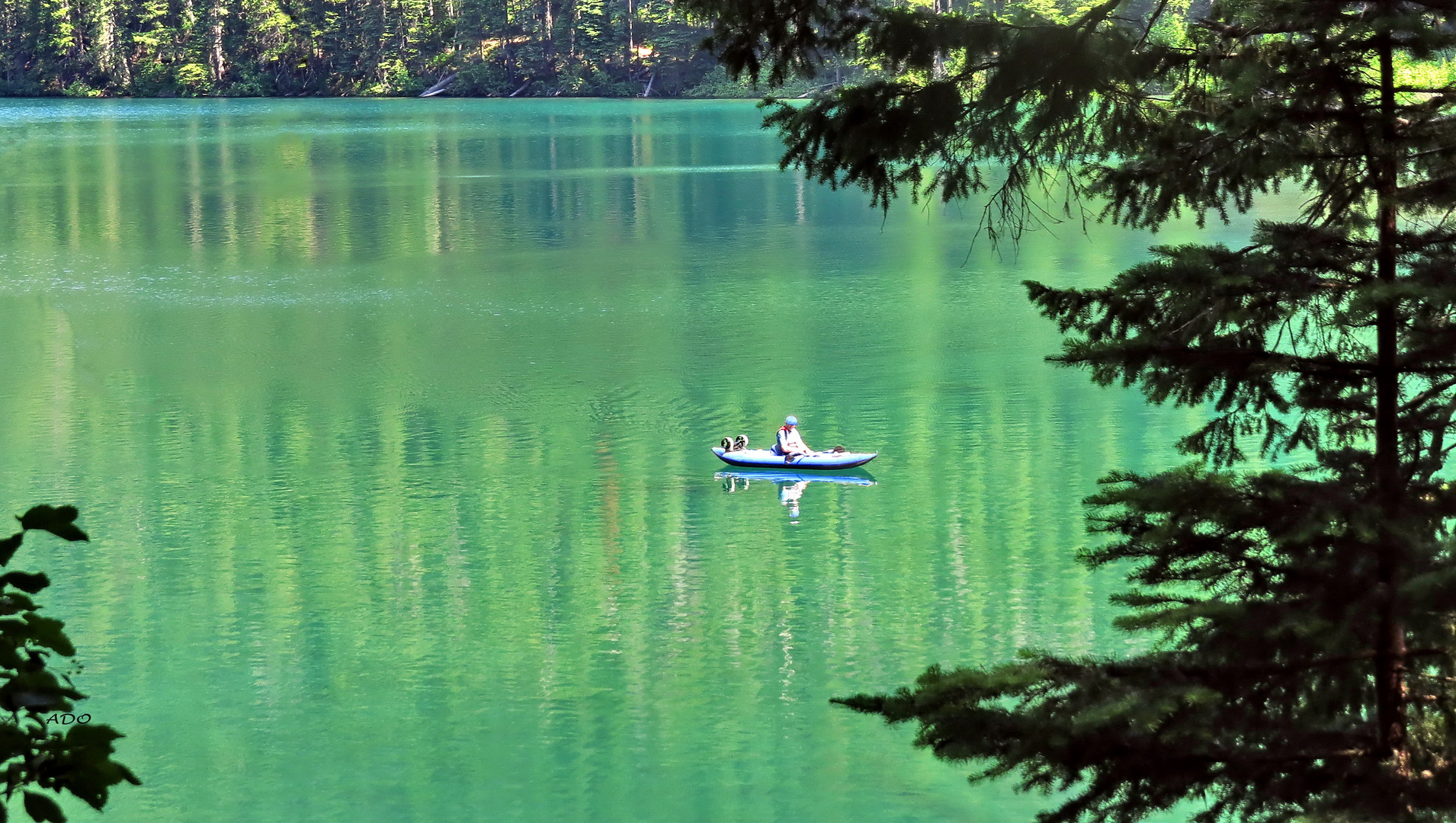 Summer at the Lake (3)