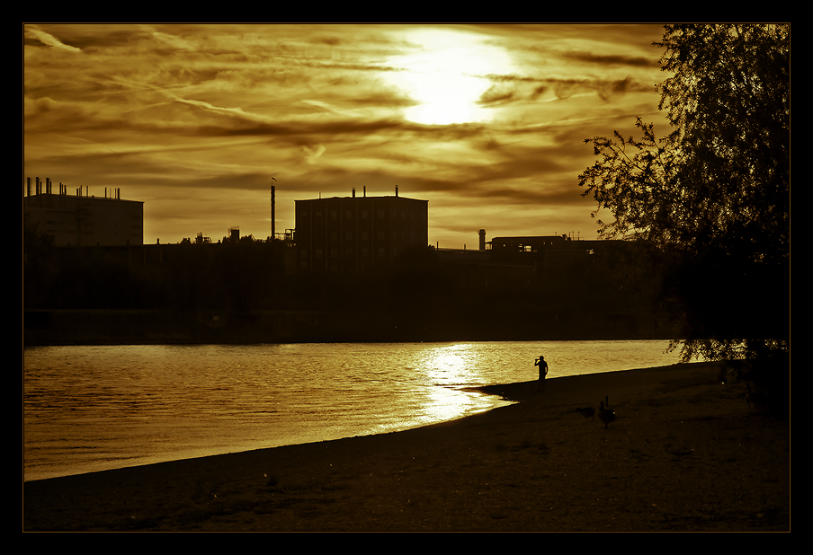 Summer at the River