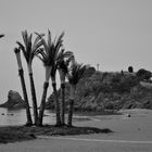 summer beach -.- black and white(2)