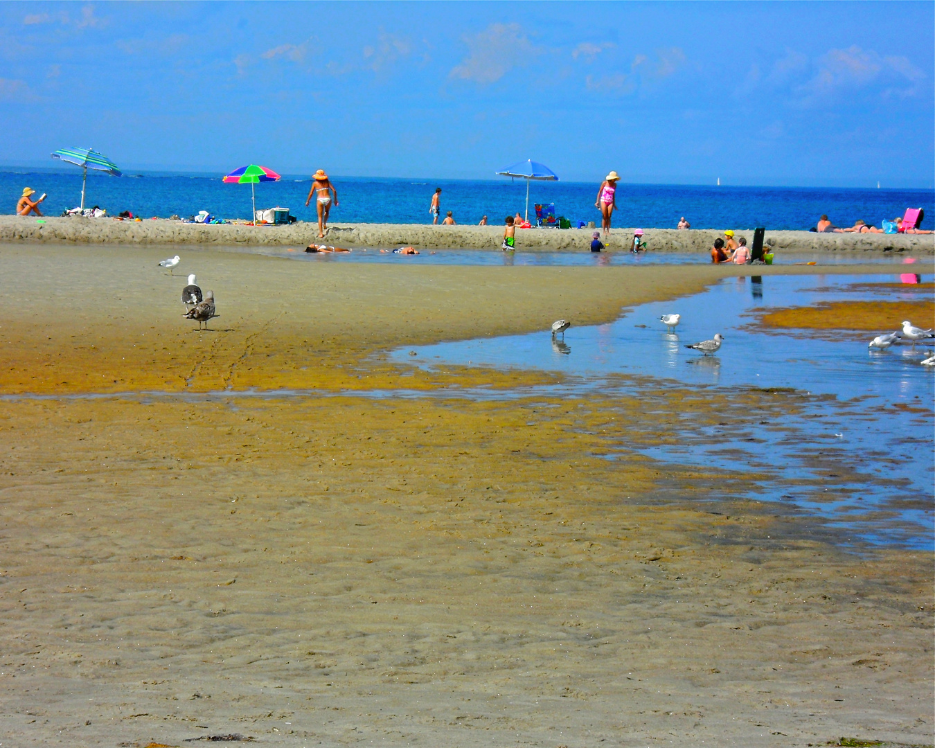 Summer Beach