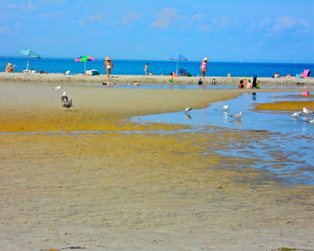 Summer Beach