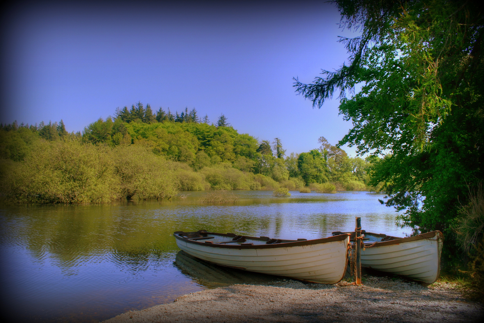 Summer Boat Ride