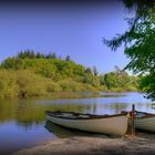 Summer Boat Ride