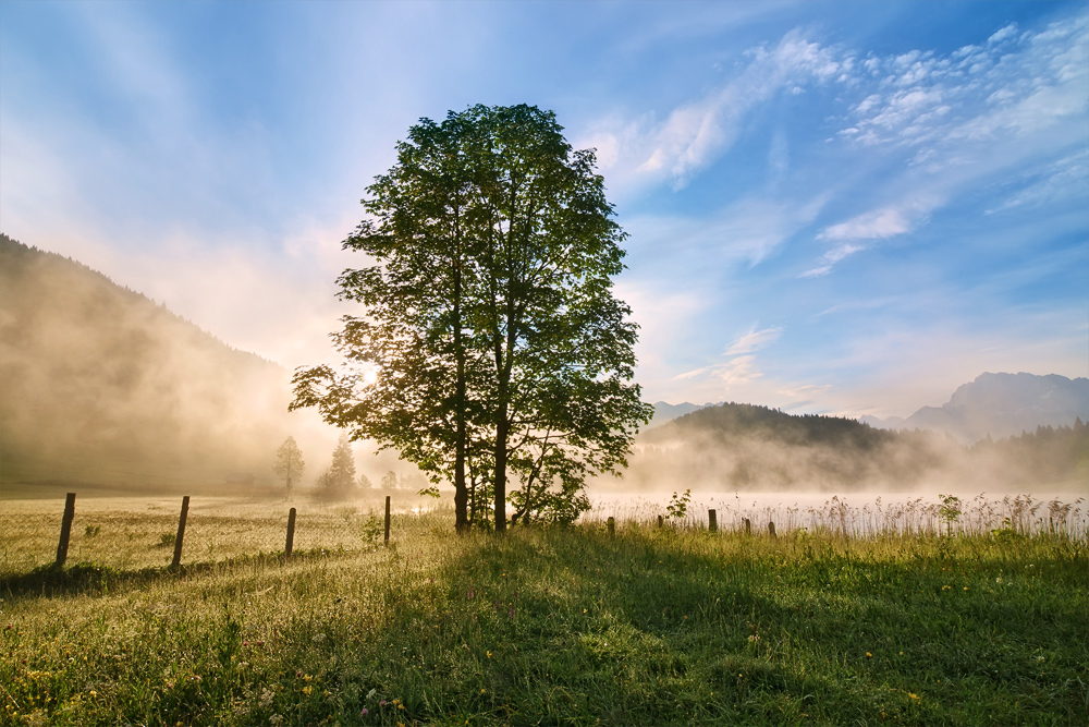 Summer Breath