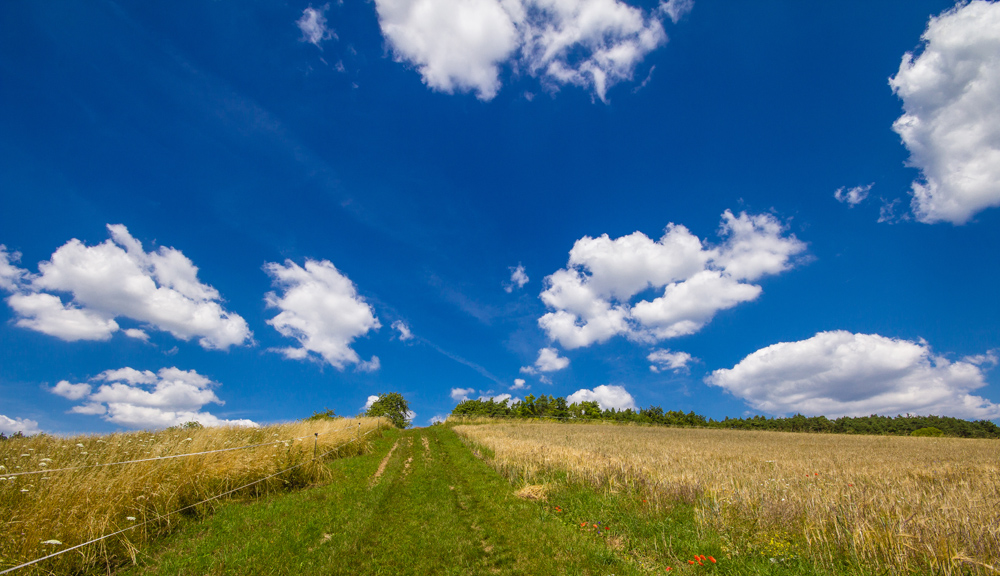 summer clouds