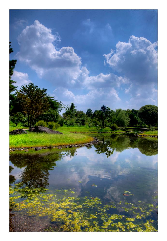 Summer Clouds