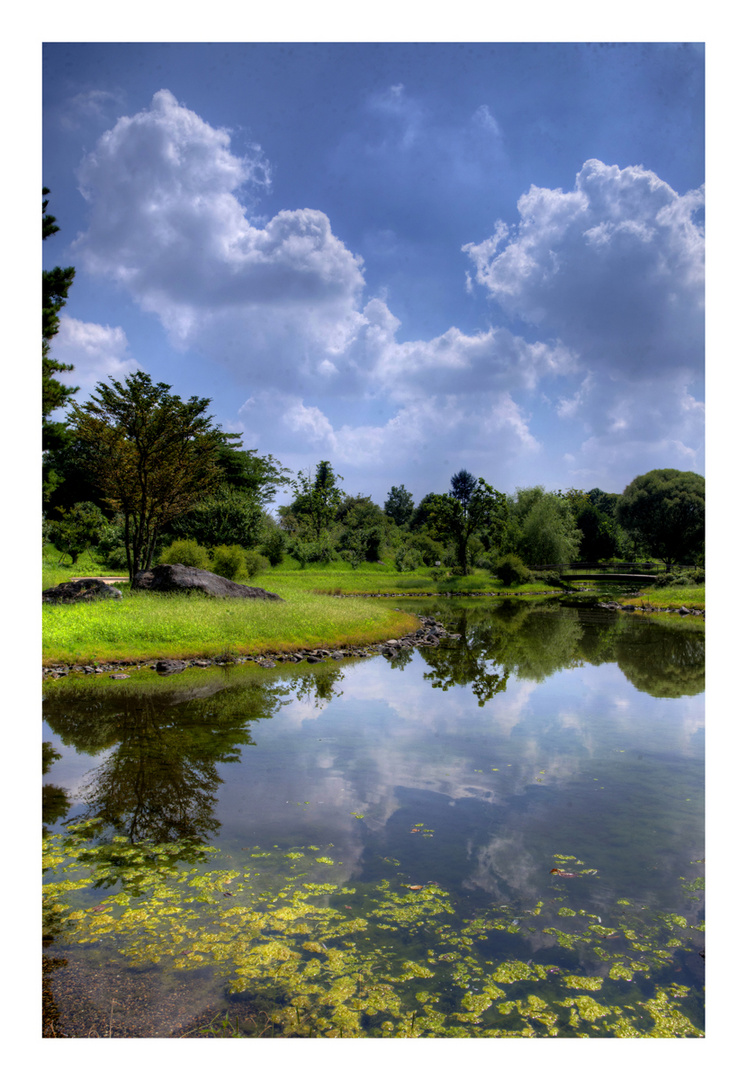 Summer Clouds