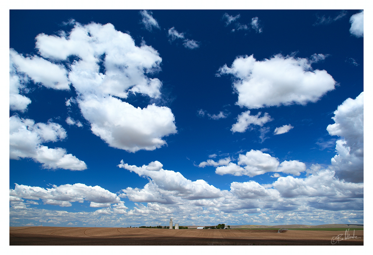 Summer clouds