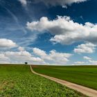 Summer Clouds