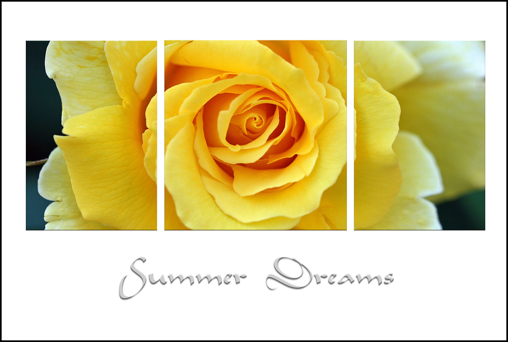 Summer Dreams