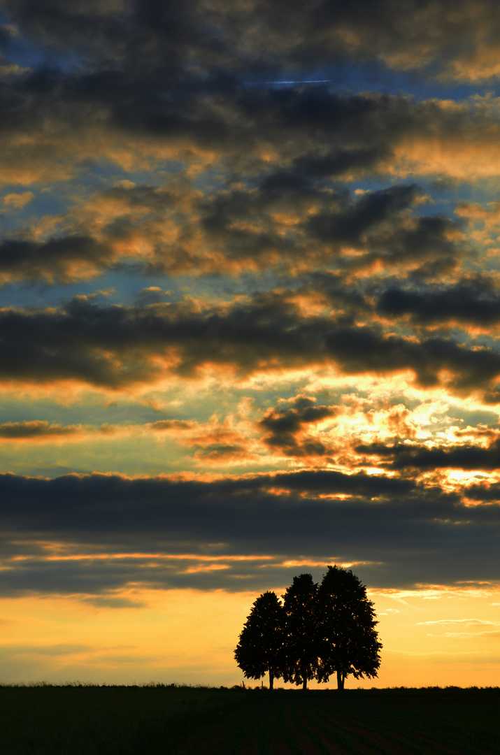 summer evening