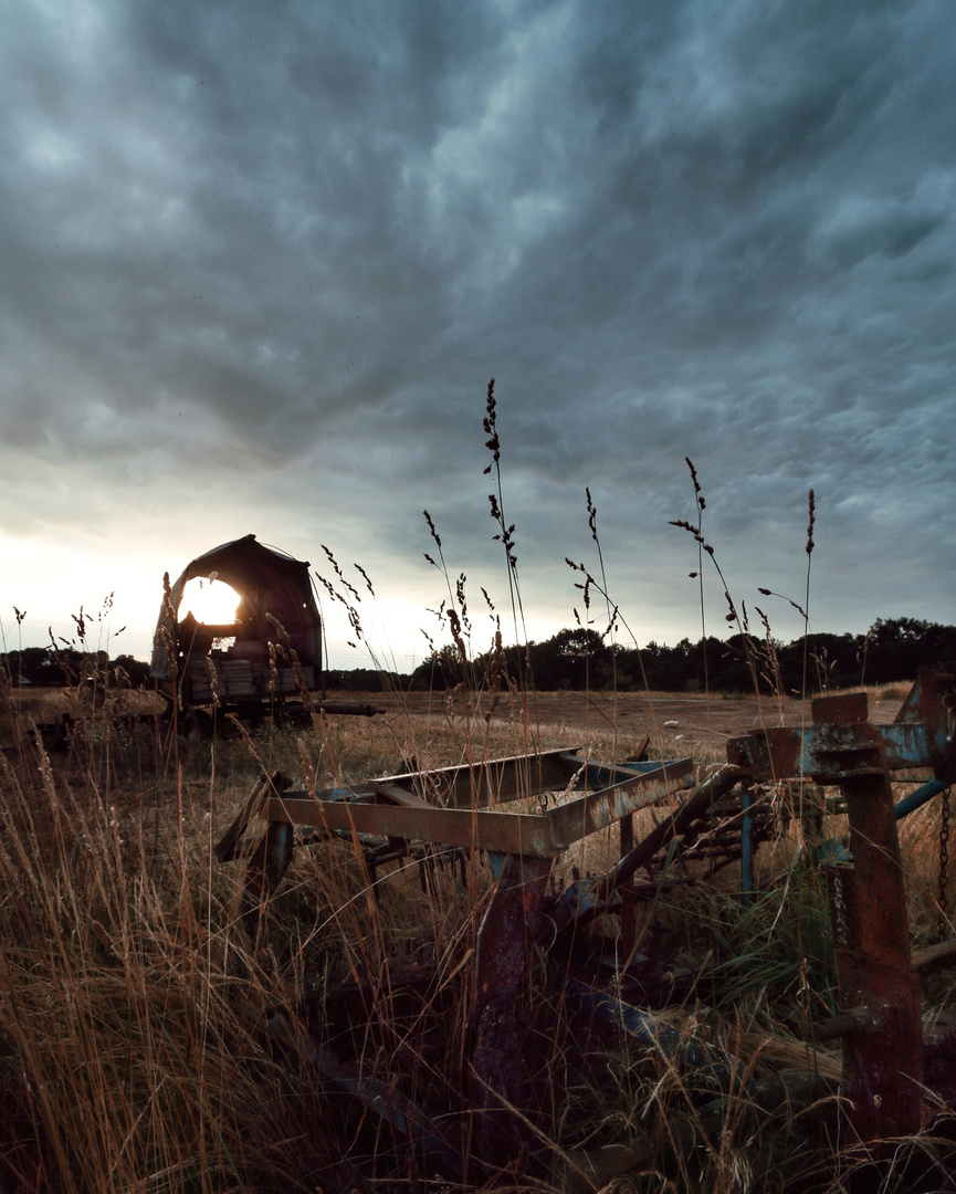 Summer evening 