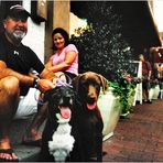 Summer Evening on Main Street - An Annapolis Moment