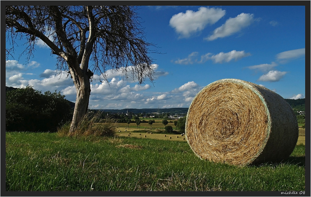 summer fields 2