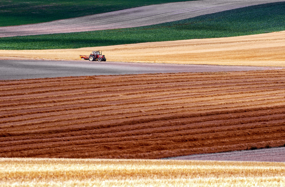 Summer Fields