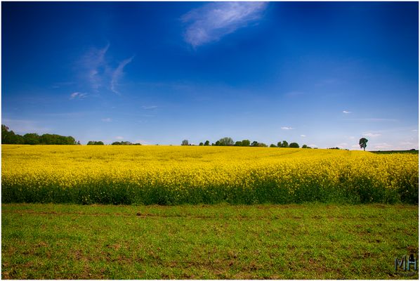 Summer finally arrived