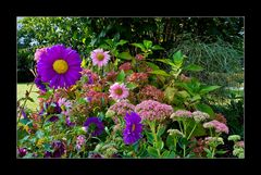 Summer Flowers