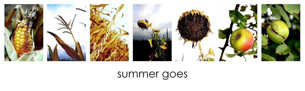 summer goes (Teil I)