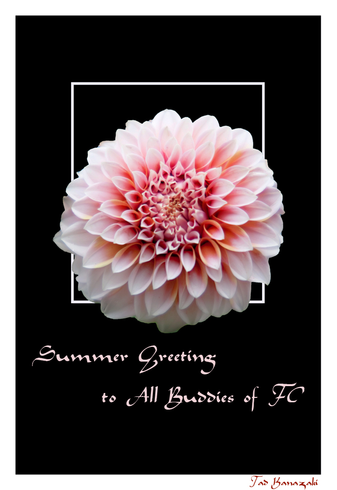 Summer Greeting