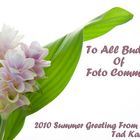 Summer Greeting From Japan