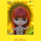 summer guide Juni