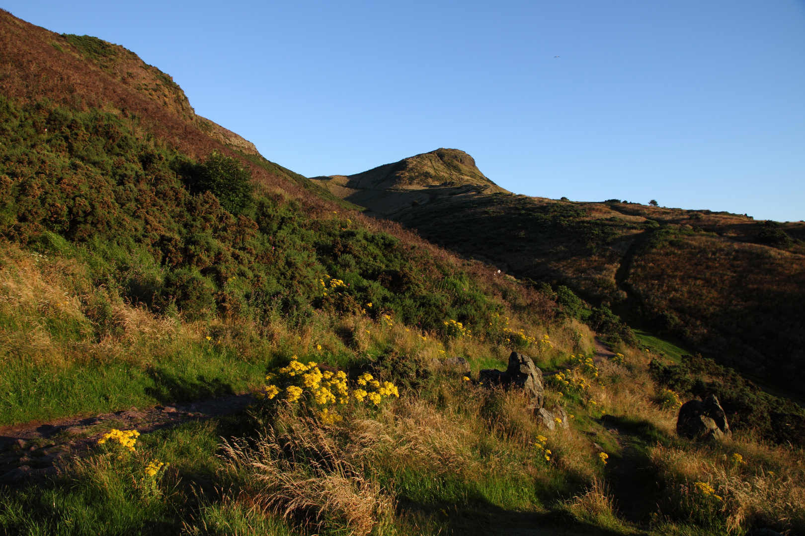 Summer has arrived in Scotland