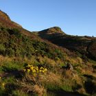 Summer has arrived in Scotland