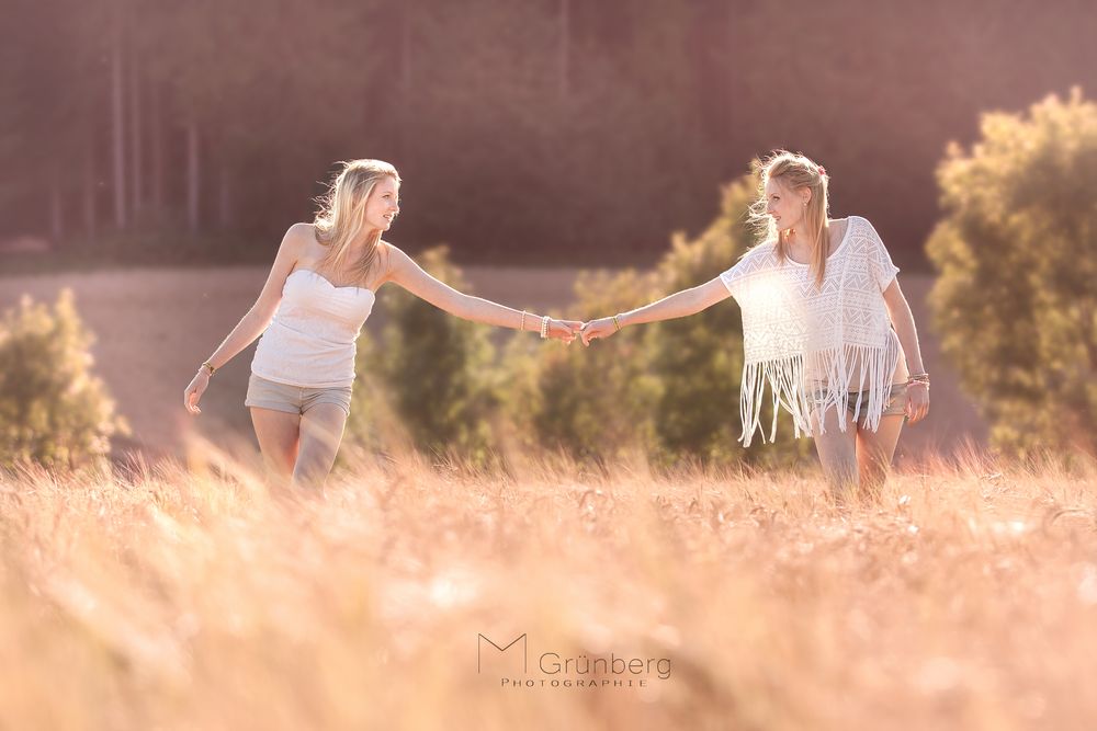 Summer in a cornfield