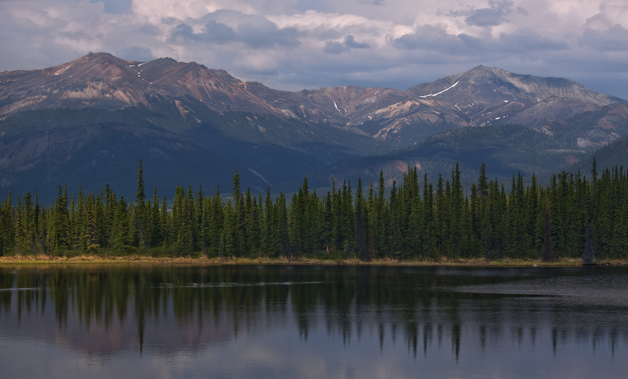 Summer in Alaska