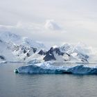 Summer in Antarctica