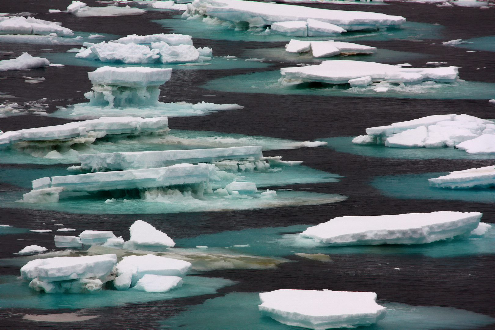 Summer in Antarctica - Finding a Path through the Icy Bits