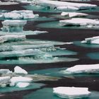 Summer in Antarctica - Finding a Path through the Icy Bits