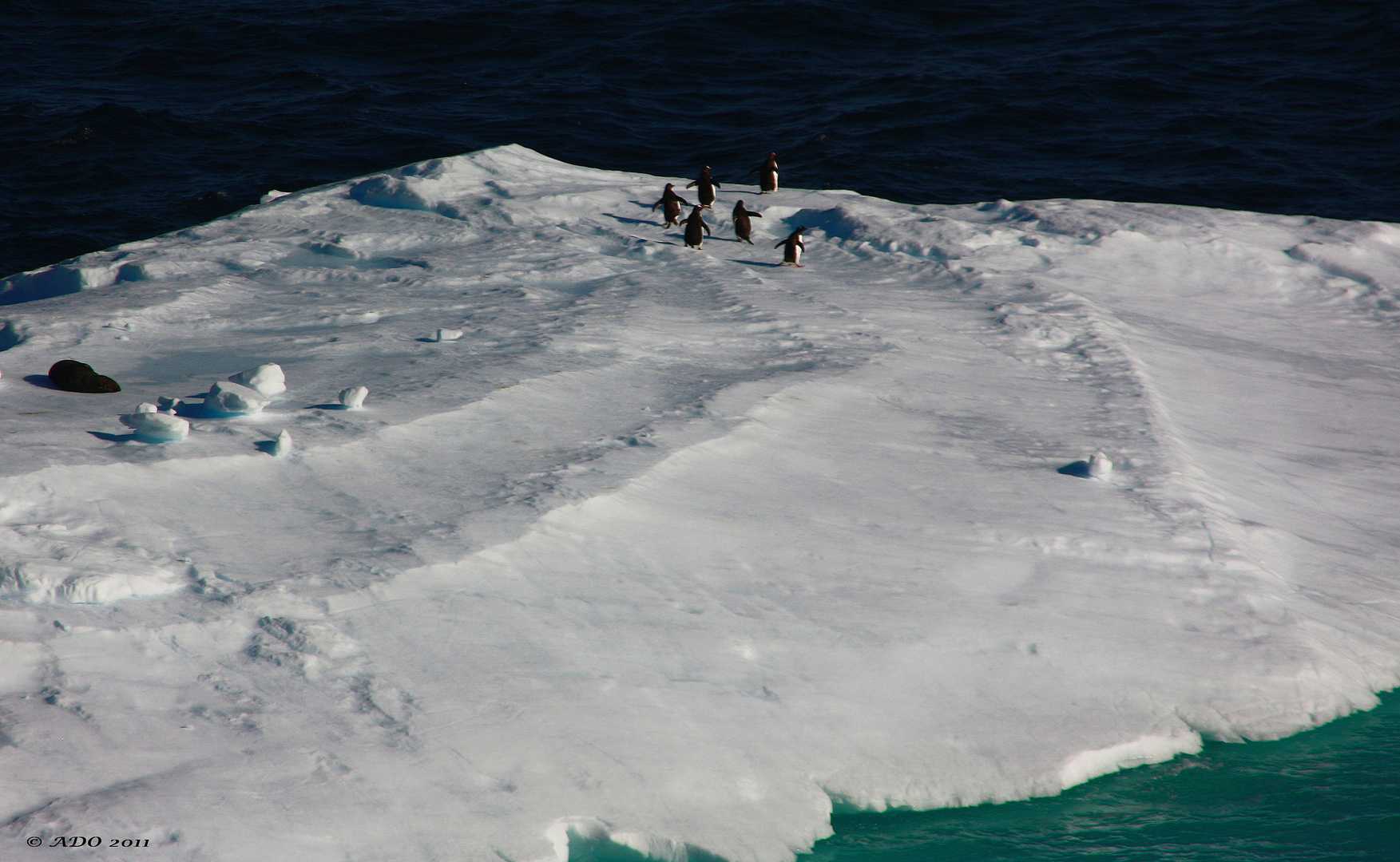 Summer in Antarctica - Just Drifting Along