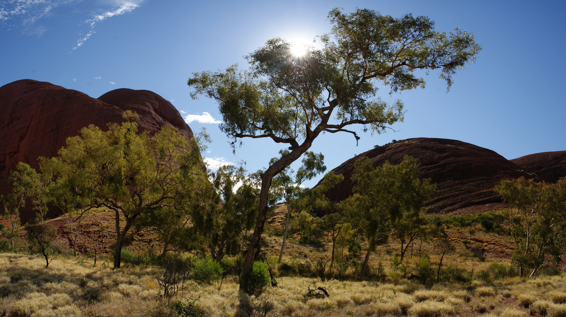 Summer in australia