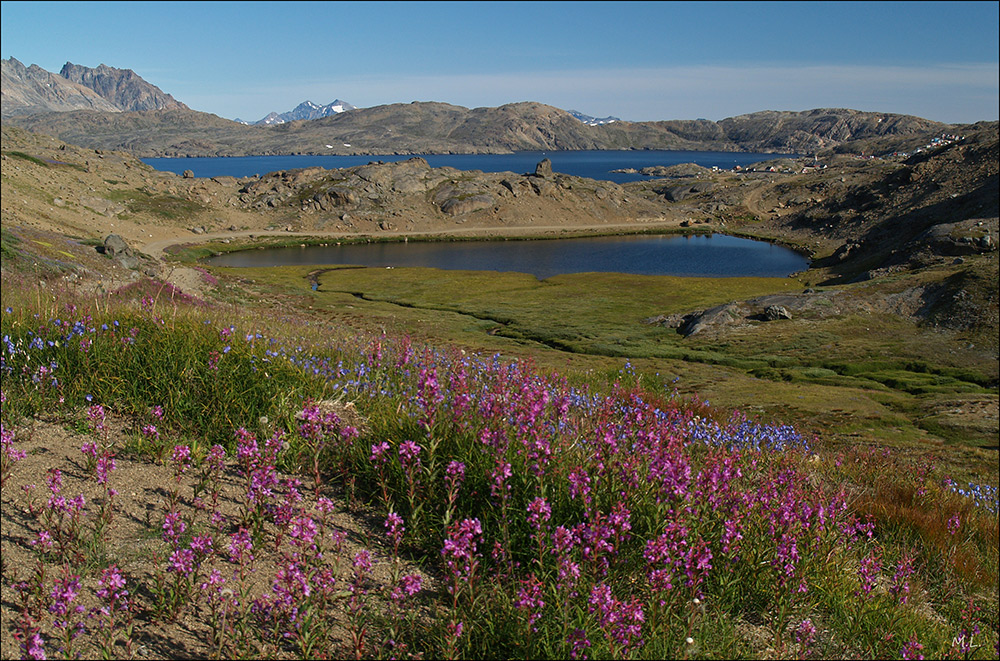 summer in Greenland