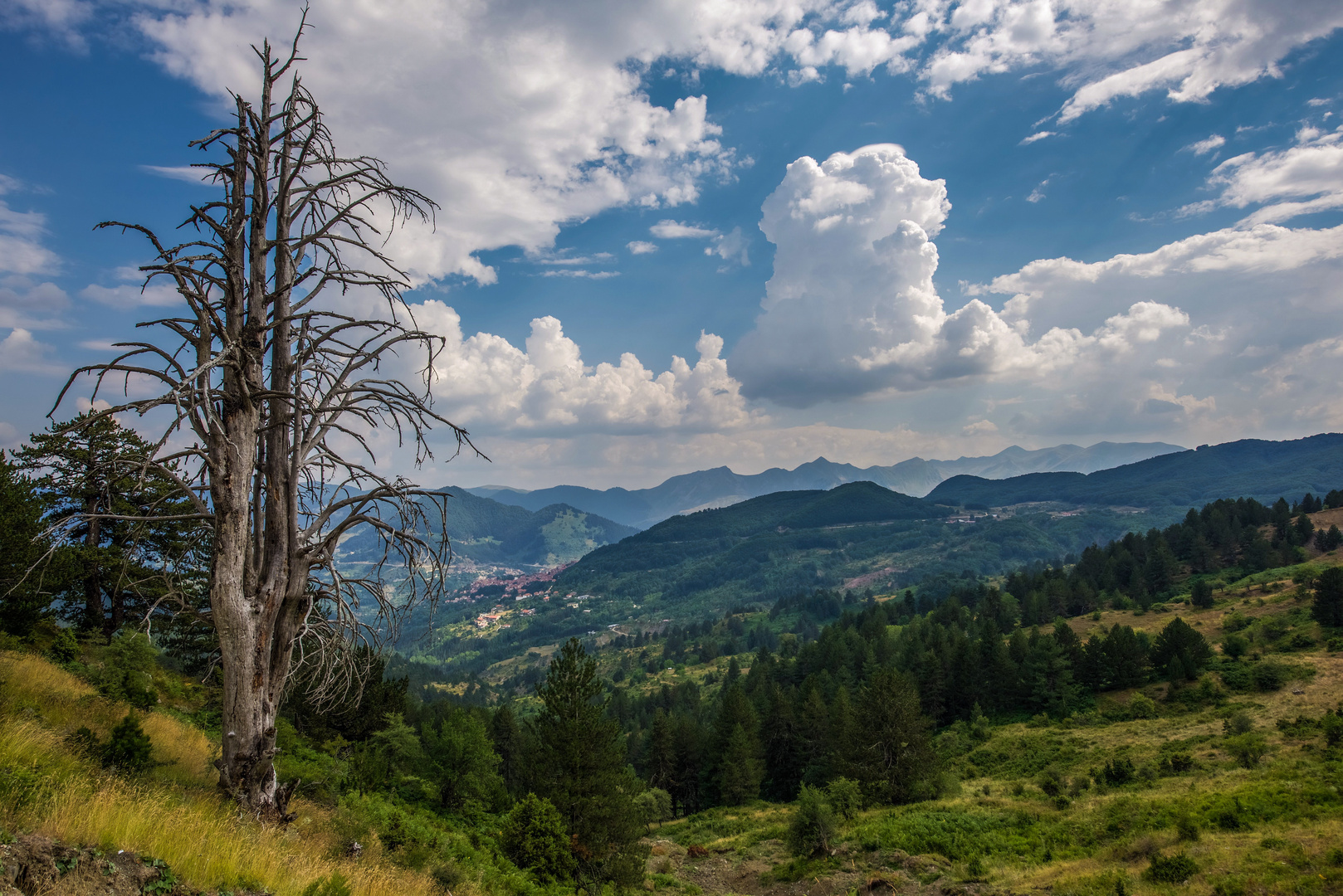 Summer in Metsovo