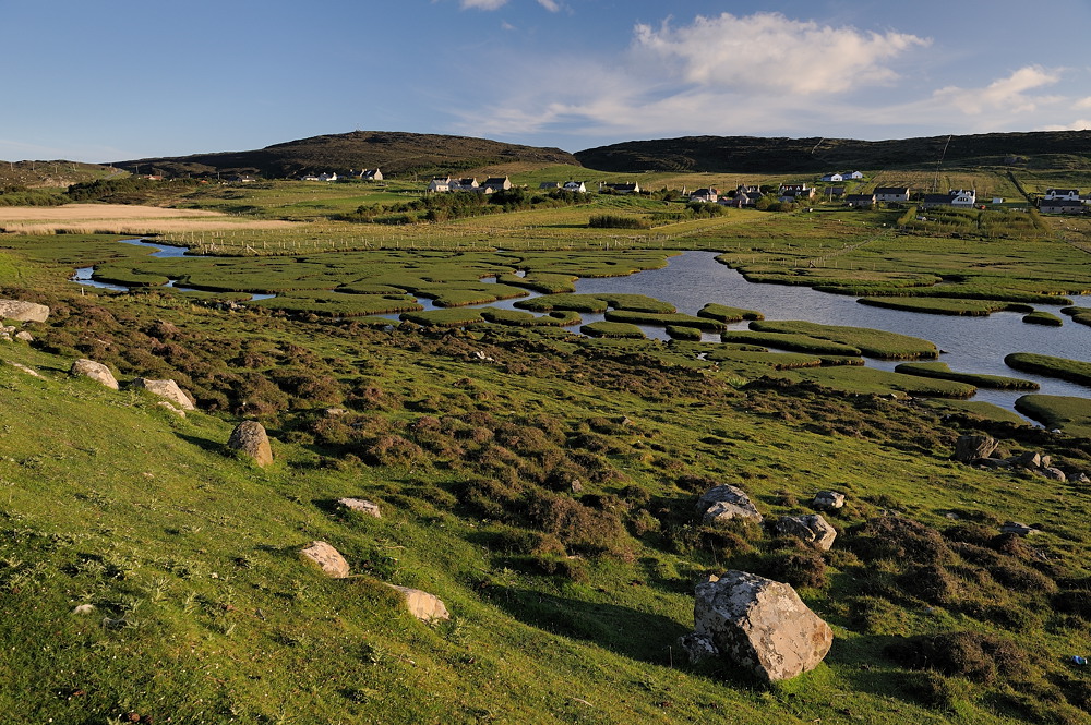 *summer in scotland 6*