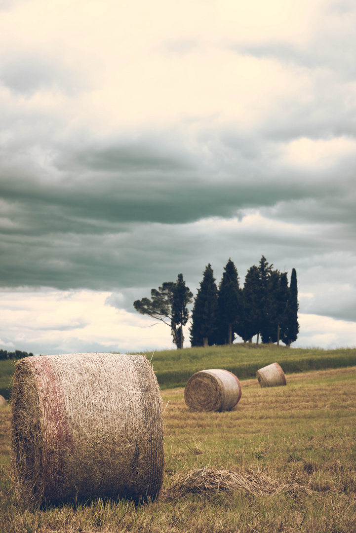 summer in siena