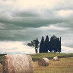 summer in siena