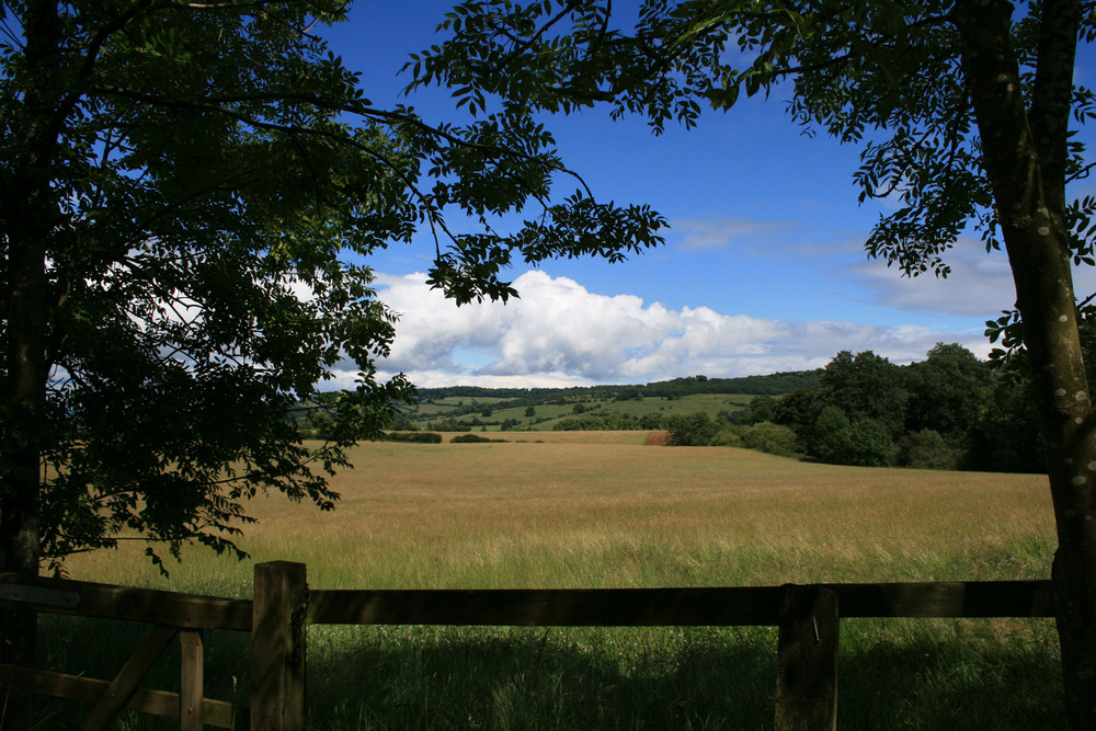 summer in the Cotswolds, England