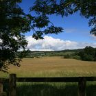 summer in the Cotswolds, England