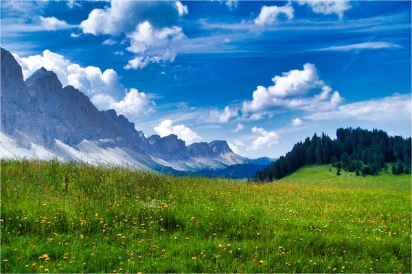 summer in the mountains.