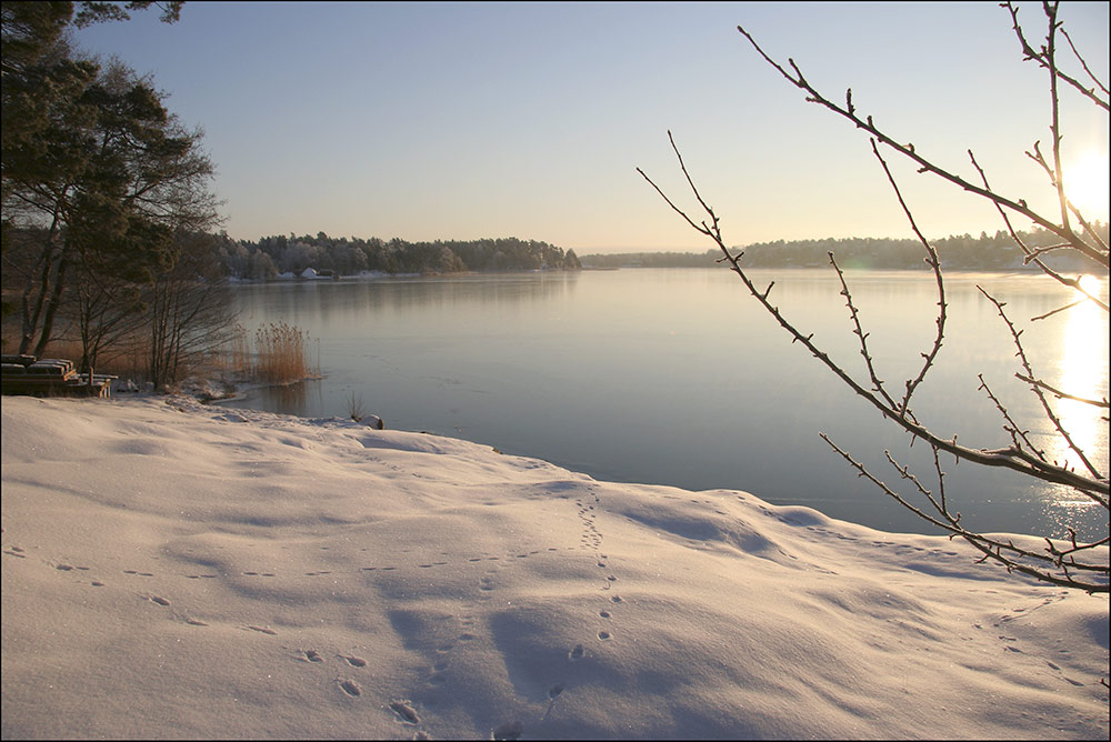 Summer in winter