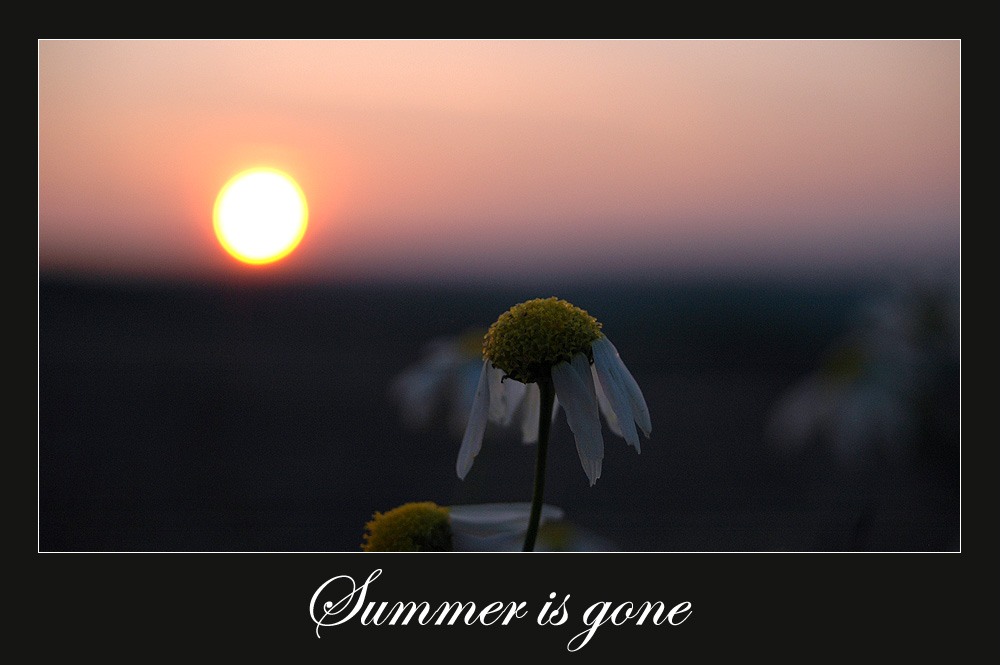 [Summer is gone]