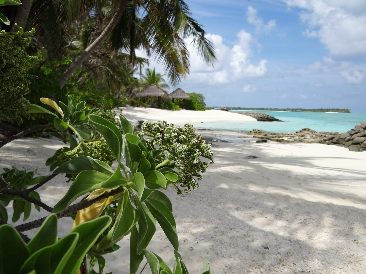 Summer Island Maldives