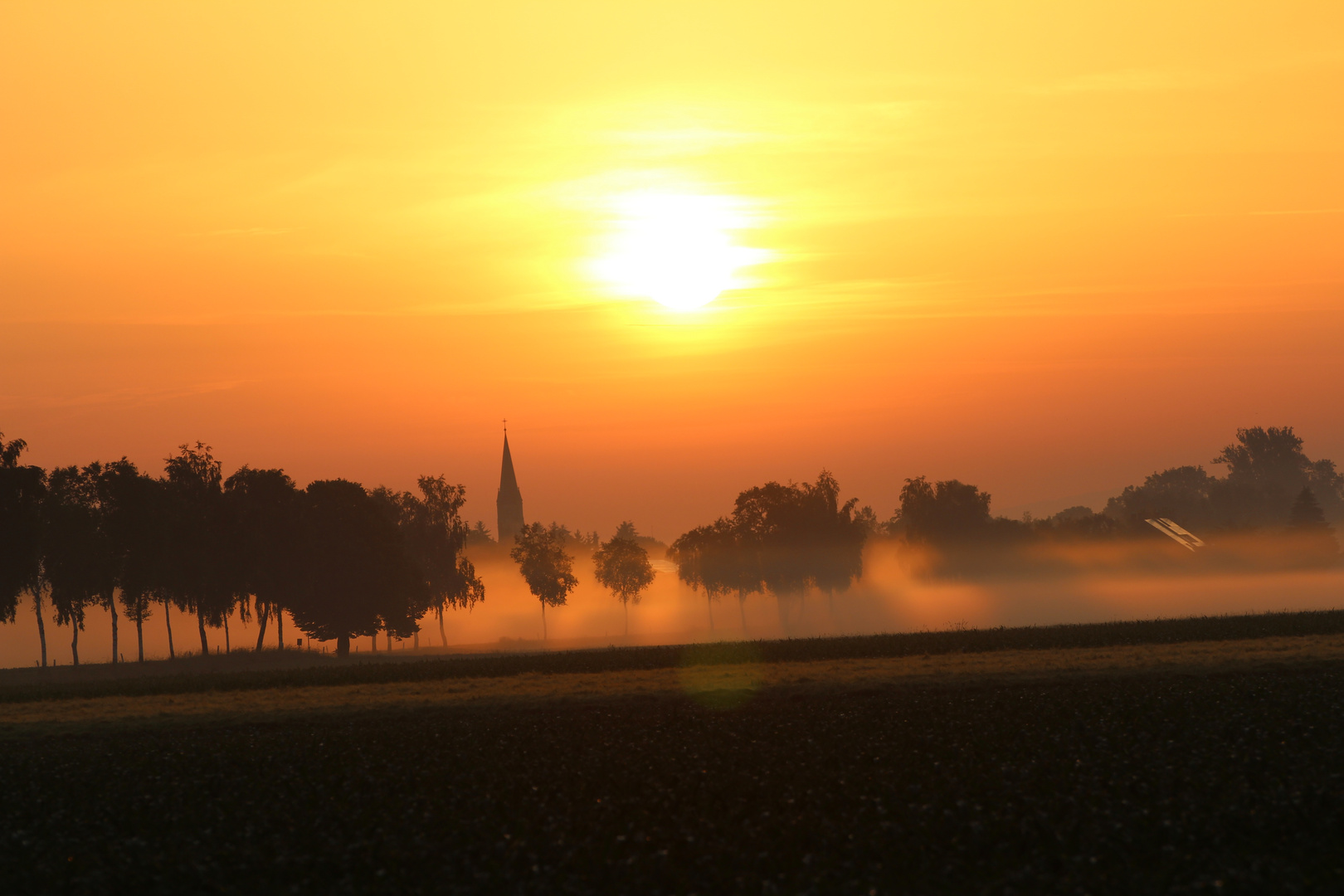 summer morning