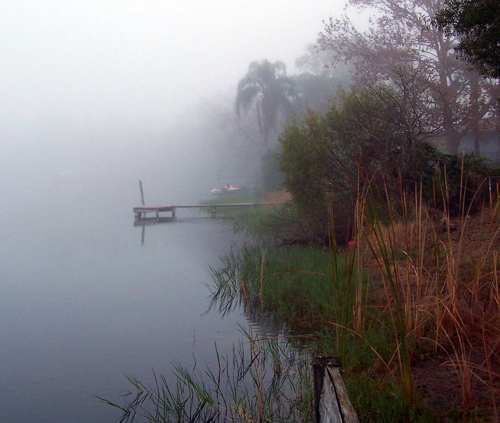 summer morning mist